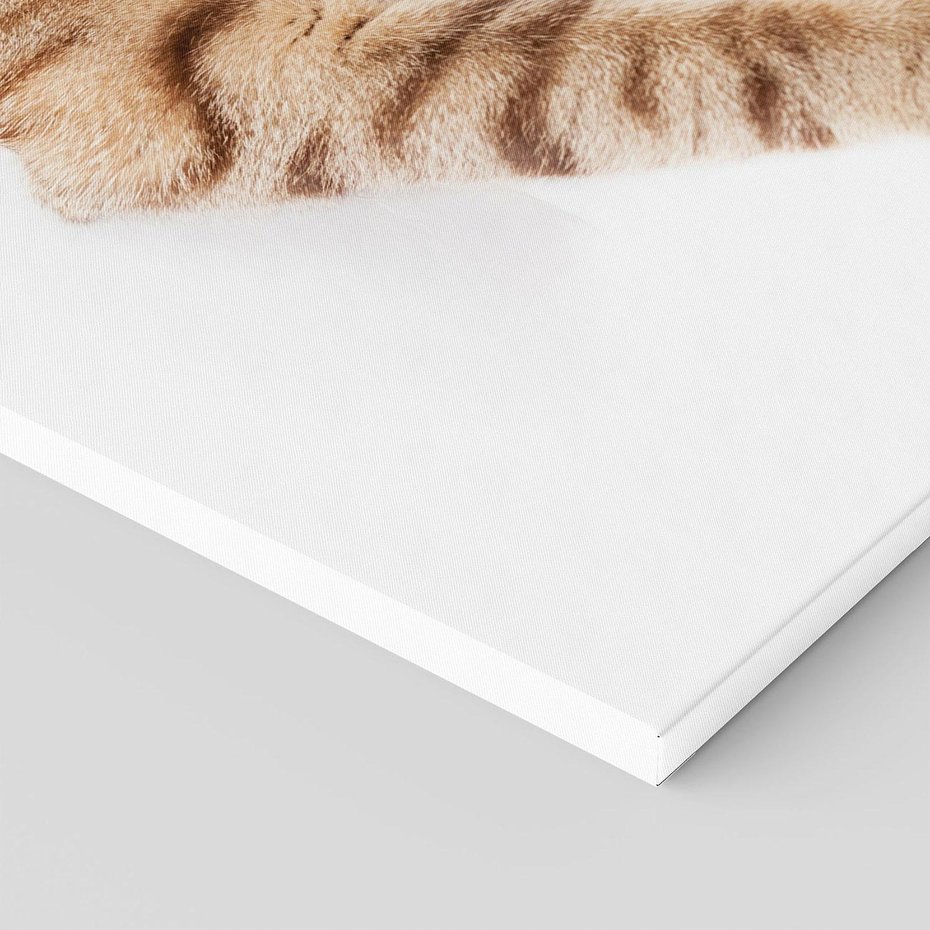 Obraz na płótnie 50x70 - Kot w Dziurze - kot, dziura