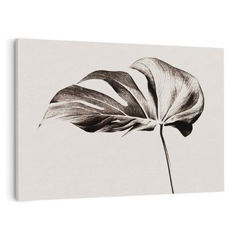 Obraz na płótnie 120x80 - Szapczący Liść - szkic, czarno biały