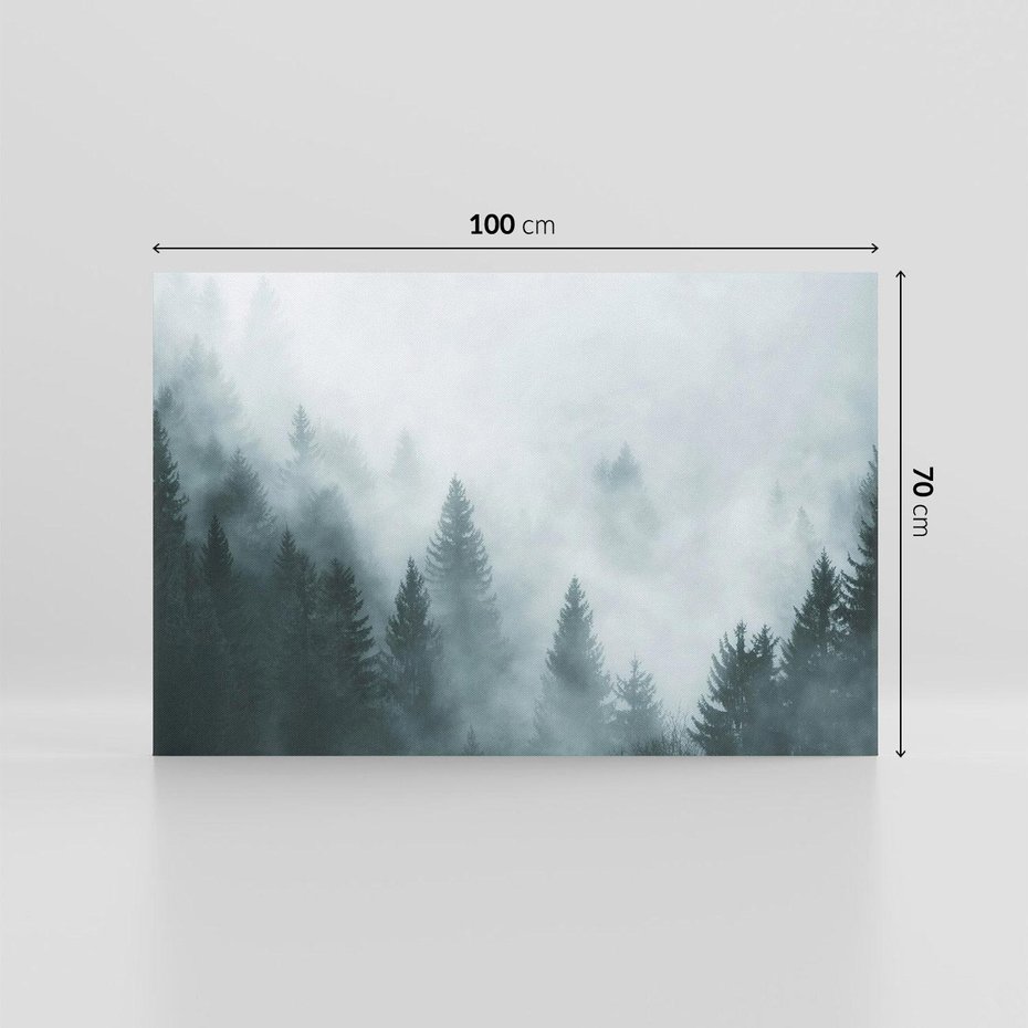 Obraz na płótnie 100x70 - Las w Mgłe - las, we