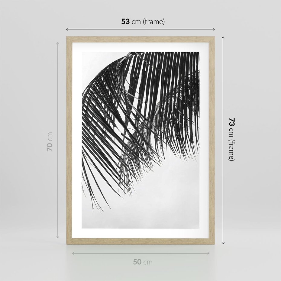 Plakat w ramie 50x70 - Czarno-Biały Kontrast - czarno białe zdjecie, palma - rama drewno