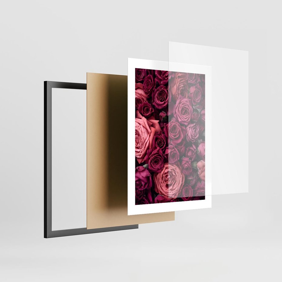 Plakat w ramie 30x40 - Róże - piękno kwiatów - róże, kwiaty - rama czarna