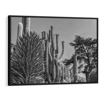 Obraz w ramie 100x70 - Pustynny Klimat - czarno białe zdjecie, pustynia - rama czarna