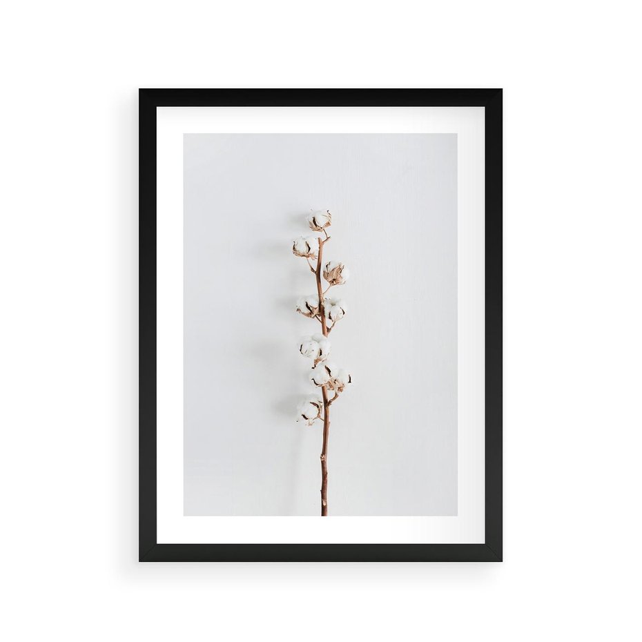 Plakat w ramie 30x40 - Minimalistyczna Gałązka Bawełny - bawełna, gałązka bawełny - rama czarna