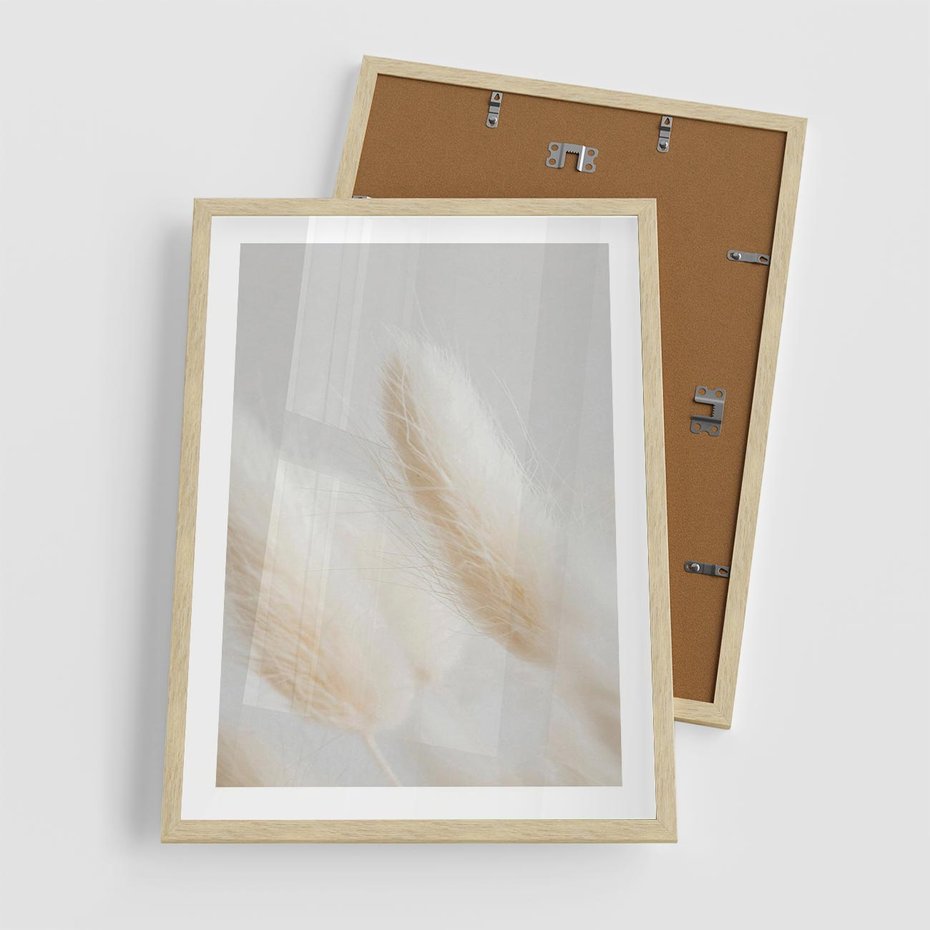 Plakat w ramie 50x70 - Czysty Minimalizm - białe trawy, minimalizm - rama drewno
