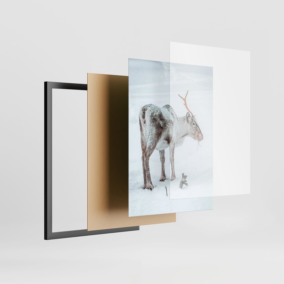 Zestaw obrazy w ramie 30x40 galeria - Zimowy, widok, renifer - rama czarna