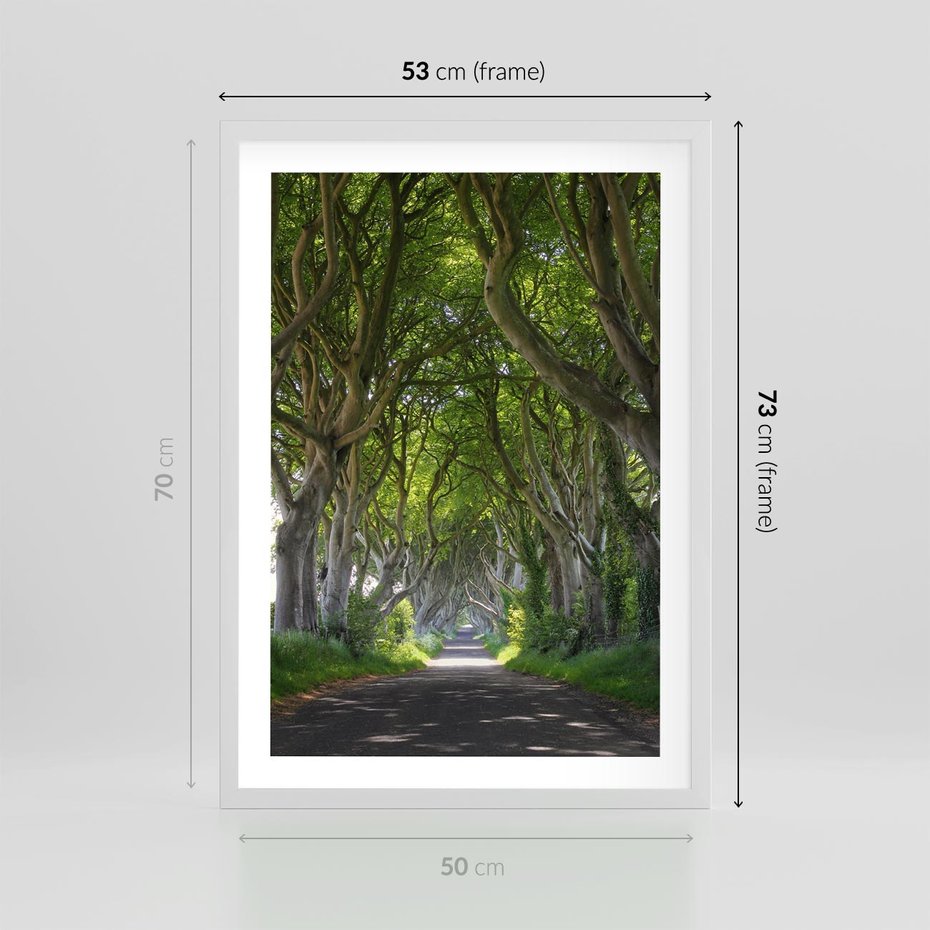 Plakat w ramie 50x70 - Magiczny Las - drzewa, las - rama biała