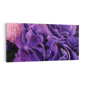 Obraz na płótnie 120x60 - Fioletowa hortensja - kwiaty, hortensja