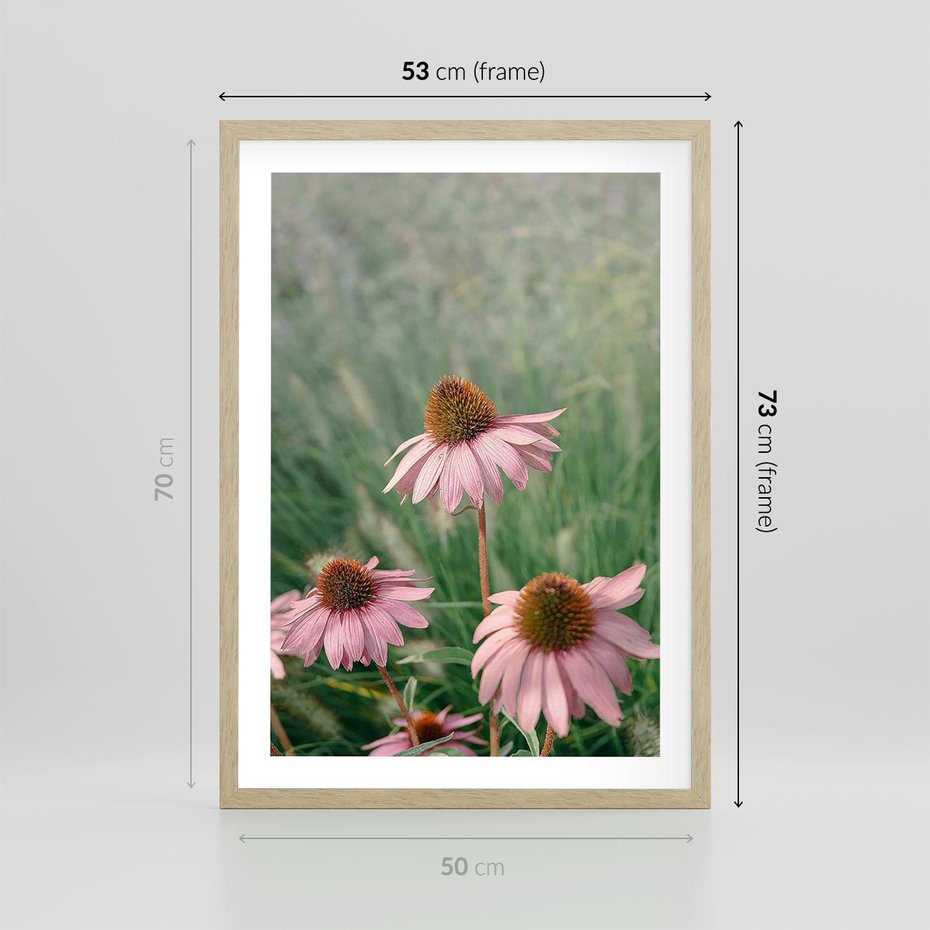 Plakat w ramie 50x70 - Natura w Pełnym Blasku - kwiaty na łące, różowe kwiaty polne - rama drewno
