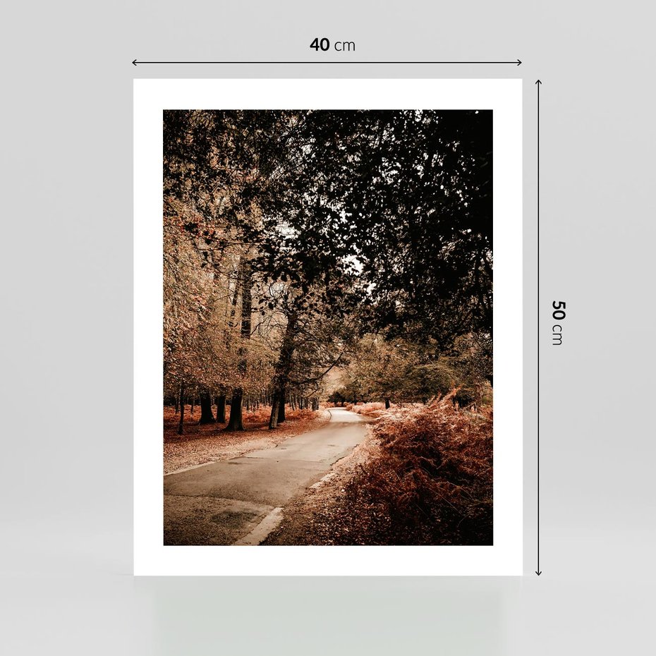 Plakat bez ramy 40x50 - Magia Jesieni: Pejzaż Parku w Odcieniach Żółci - jesień, park