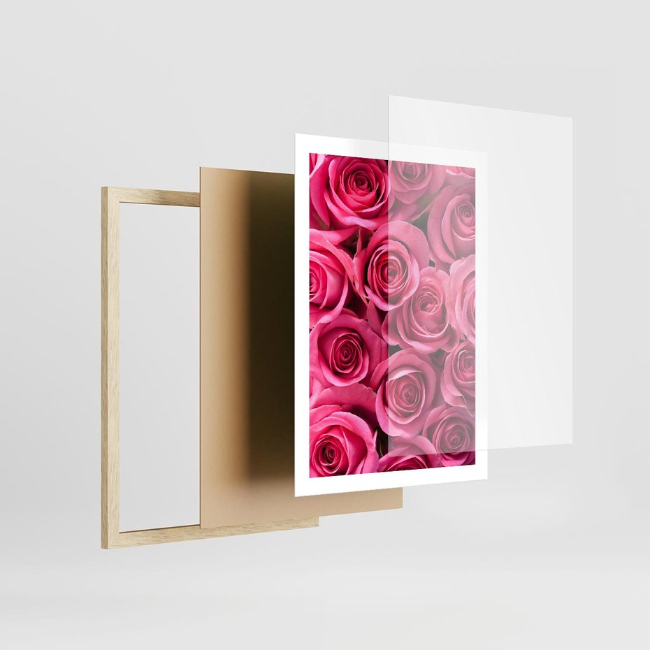 Plakat w ramie 50x70 - Romantyczne róże w pełnym rozkwicie - róże, kwiaty - rama drewno