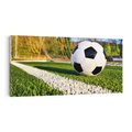 Obraz na płótnie 120x60 - Pasja na Boisku: Piłka Nożna - boisko, piłka