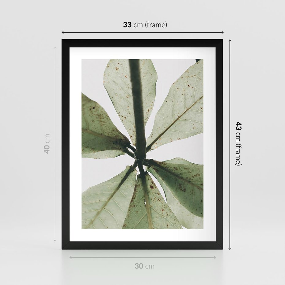 Plakat w ramie 30x40 - Jasna Zieleń w Makro - makro zdjęcie liści, jasna zieleń - rama czarna