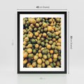 Plakat w ramie 40x50 - Świeżość Cytrusów - cytryny, limonki - rama czarna