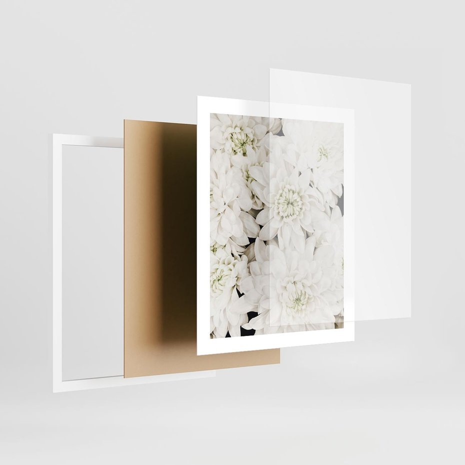 Plakat w ramie 40x50 - Białe Kwiaty: Płatki Delikatności - białe kwiaty, zbliżenie - rama biała