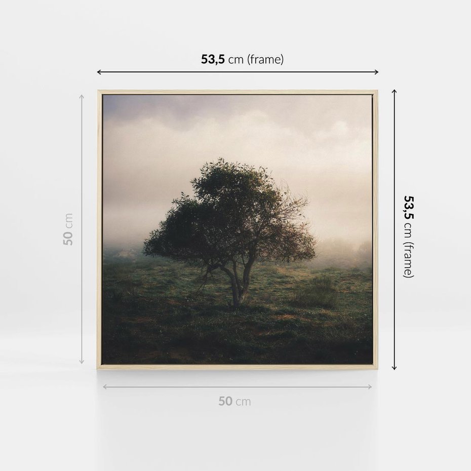 Obraz w ramie 50x50 - Zamglona Prostota - artystyczna fotografia, samotne drzewo na zamglonej łące - rama drewno