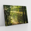 Obraz na płótnie 120x80 - Siła Natury: Las i Drzewa - las, drzewa