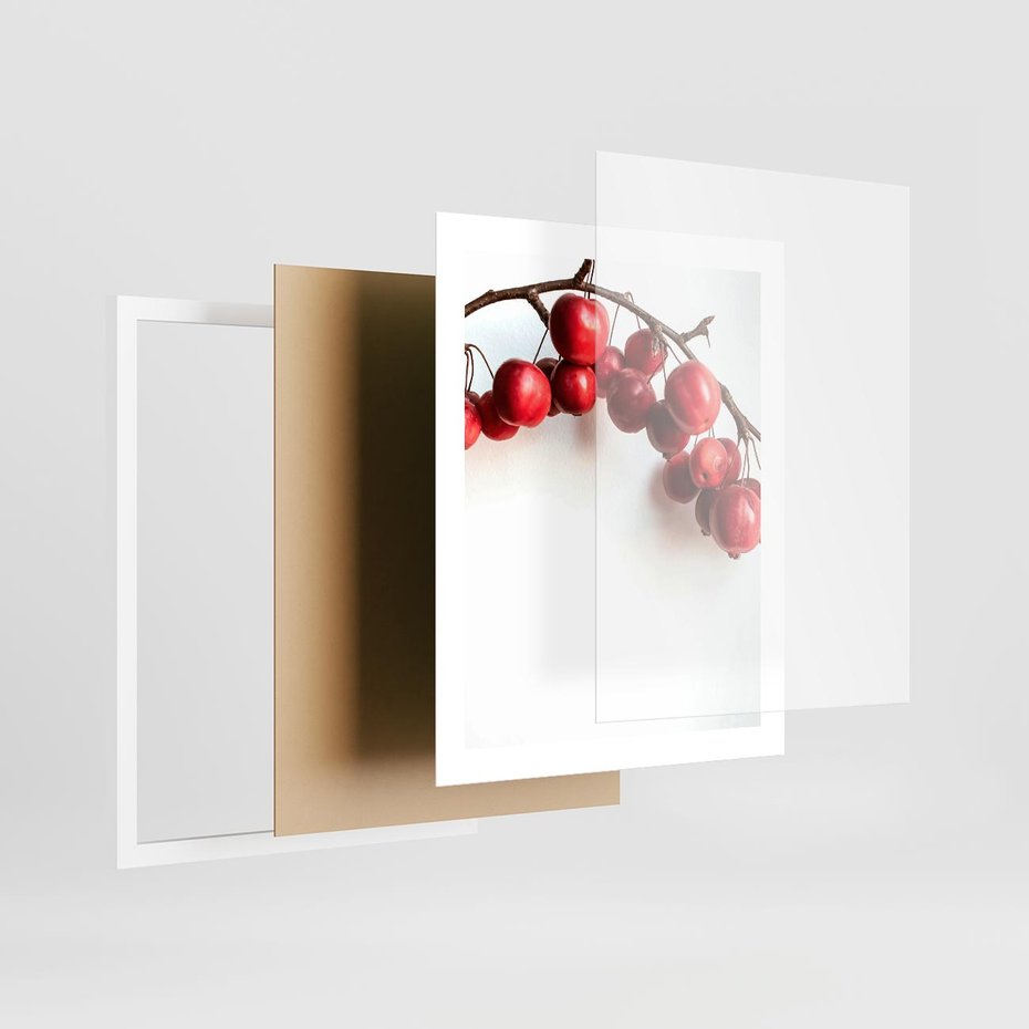 Plakat w ramie 40x50 - Jesienne Owoce - jarzębina, czerwone owoce - rama biała