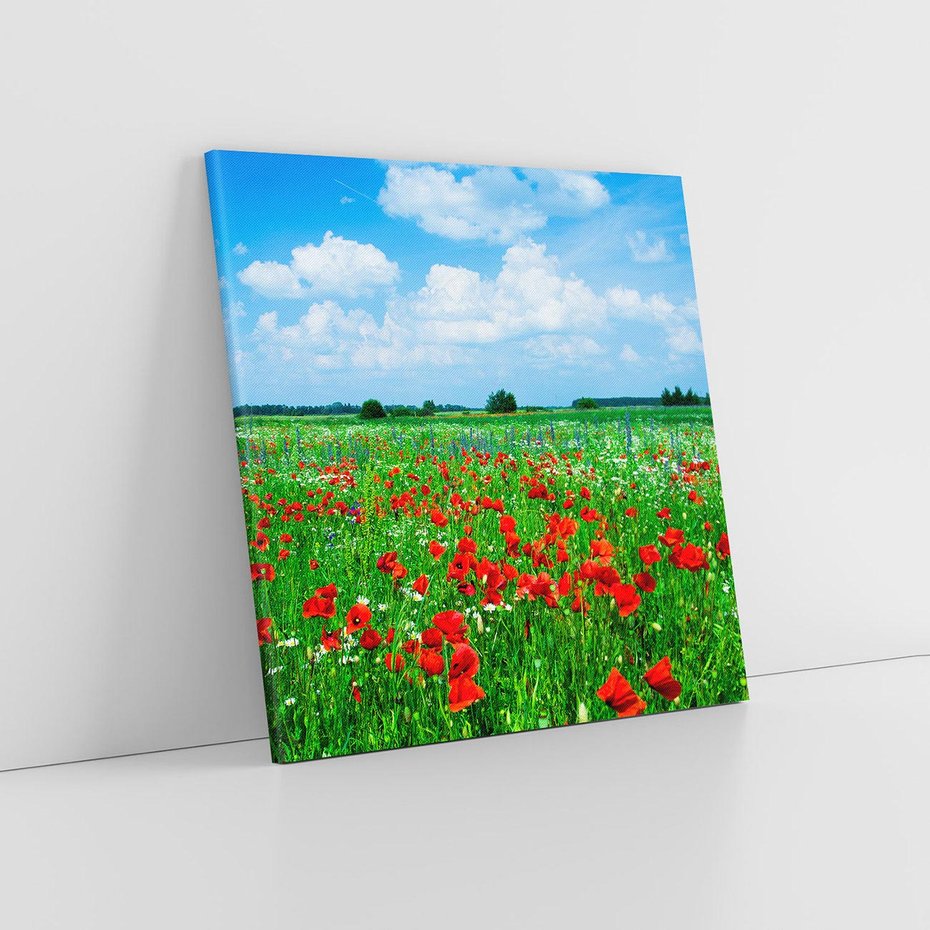 Obraz na płótnie 30x30 - Kolorowa łąka pełna maku - łąka, maki