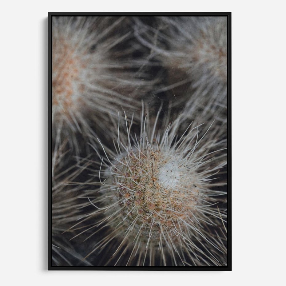 Obraz w ramie 70x100 - Ulotna Piękność Natury - makro, dmuchawce - rama czarna