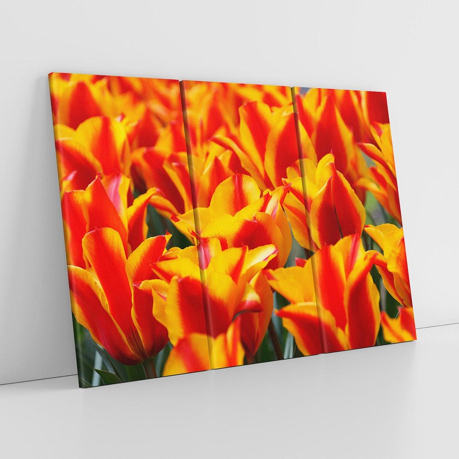 Obraz na płótnie 120x80 - Kwiatowa natura - kwiat, kwiaty