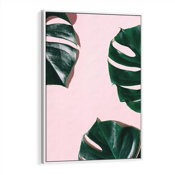 Obraz w ramie 50x70 - Siła Natury - liście, monstera - rama biała