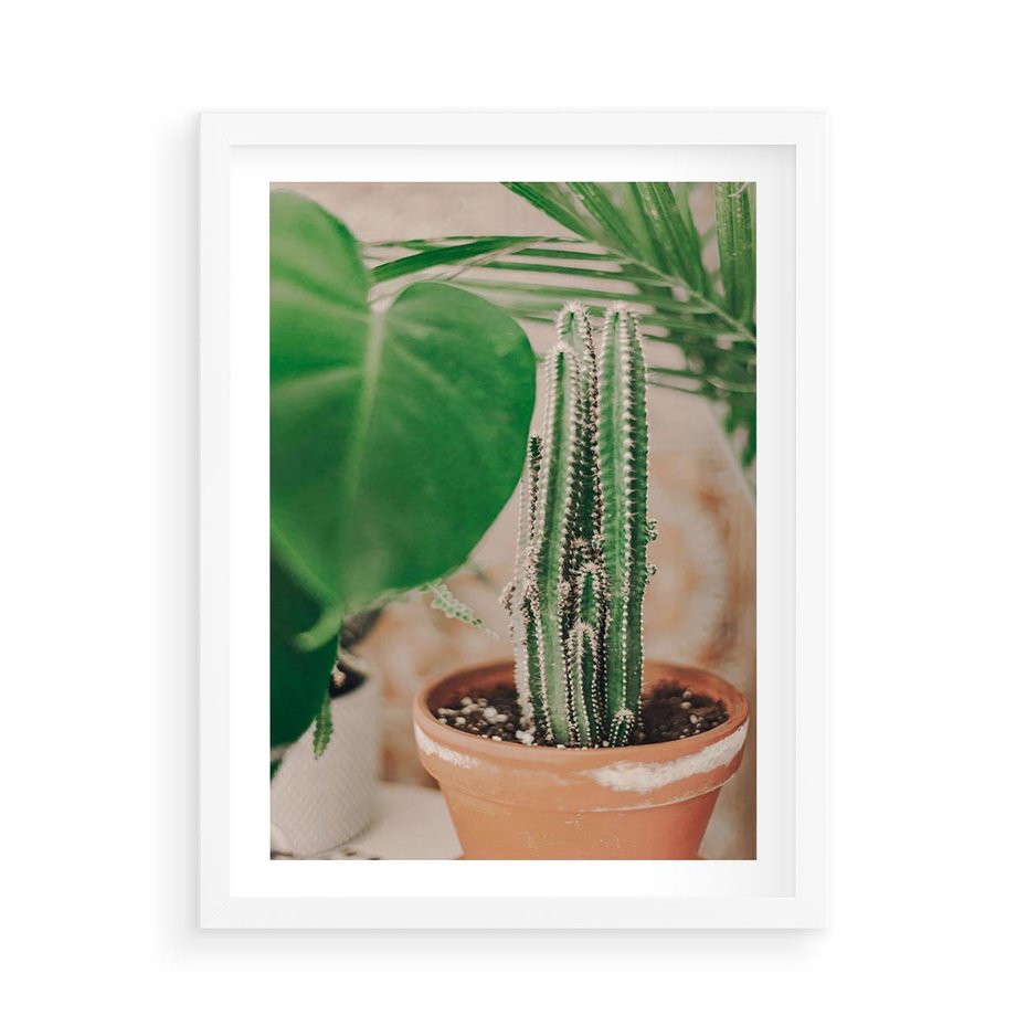 Plakat w ramie 50x70 - Boho Urok - kaktus w doniczce, gliniana doniczka - rama biała