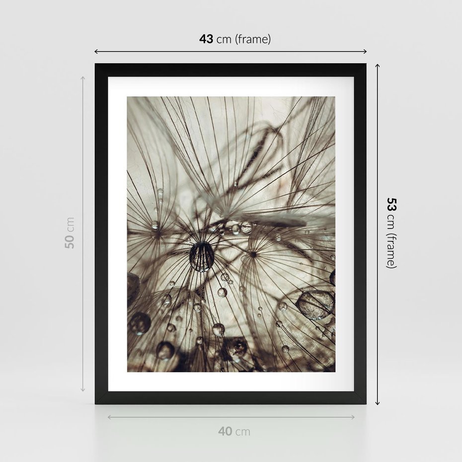 Plakat w ramie 40x50 - Lekkie dmuchawce - dmuchawce, krople - rama czarna