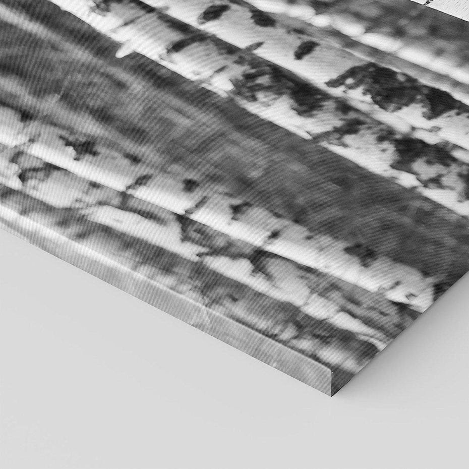 Obraz na płótnie 70x50 - Kontrast Monochromatyczny - brzozy, czarno