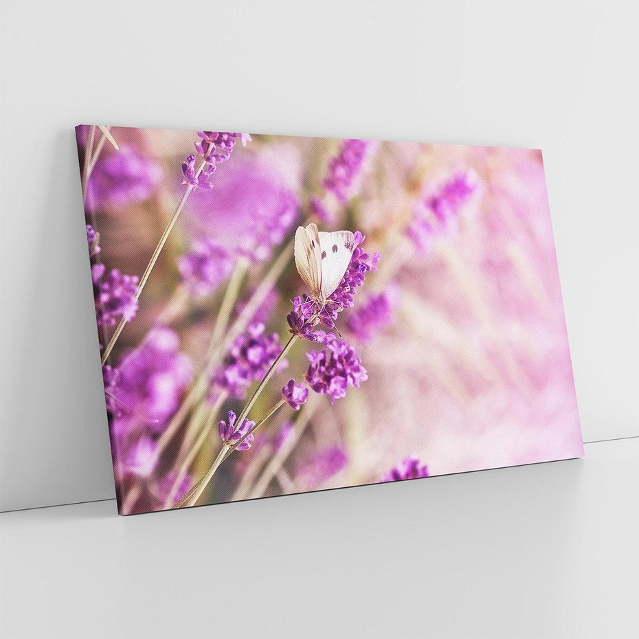 Obraz na płótnie 70x50 - Majestat lawendy: fioletowe pola - lawenda, fiolet