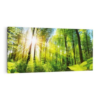 Obraz na płótnie 120x60 - Magia Leśnej Przyrody - las, drzewa