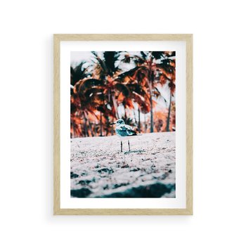 Plakat w ramie 30x40 - Tropikalna Uroda: Plaża z Mewą - tropikalna plaża, mewa na piasku - rama drewno