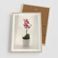 Plakat w ramie 50x70 - Delikatność storczyka orchidei - storczyk, orchidea - rama drewno