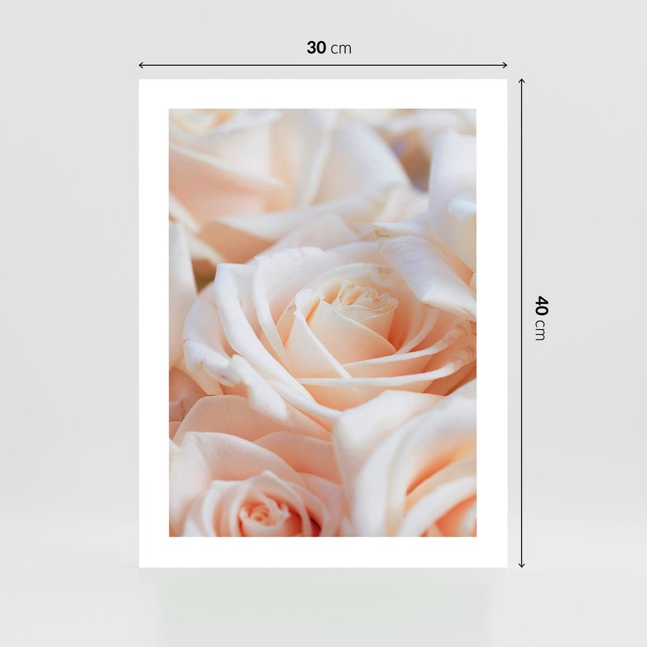 Plakat bez ramy 30x40 - Aromatyczna Piękność - płatki herbacianej róży, kwiaty