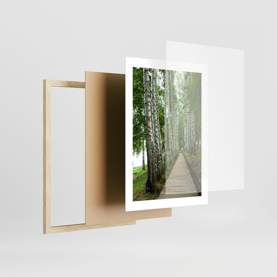 Plakat w ramie 30x40 - Spacer ścieżką przez brzozowy las - las, ścieżka - rama drewno