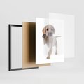 Plakat w ramie 40x50 - Szczeniak pełen radości - piesek, szczeniak - rama czarna