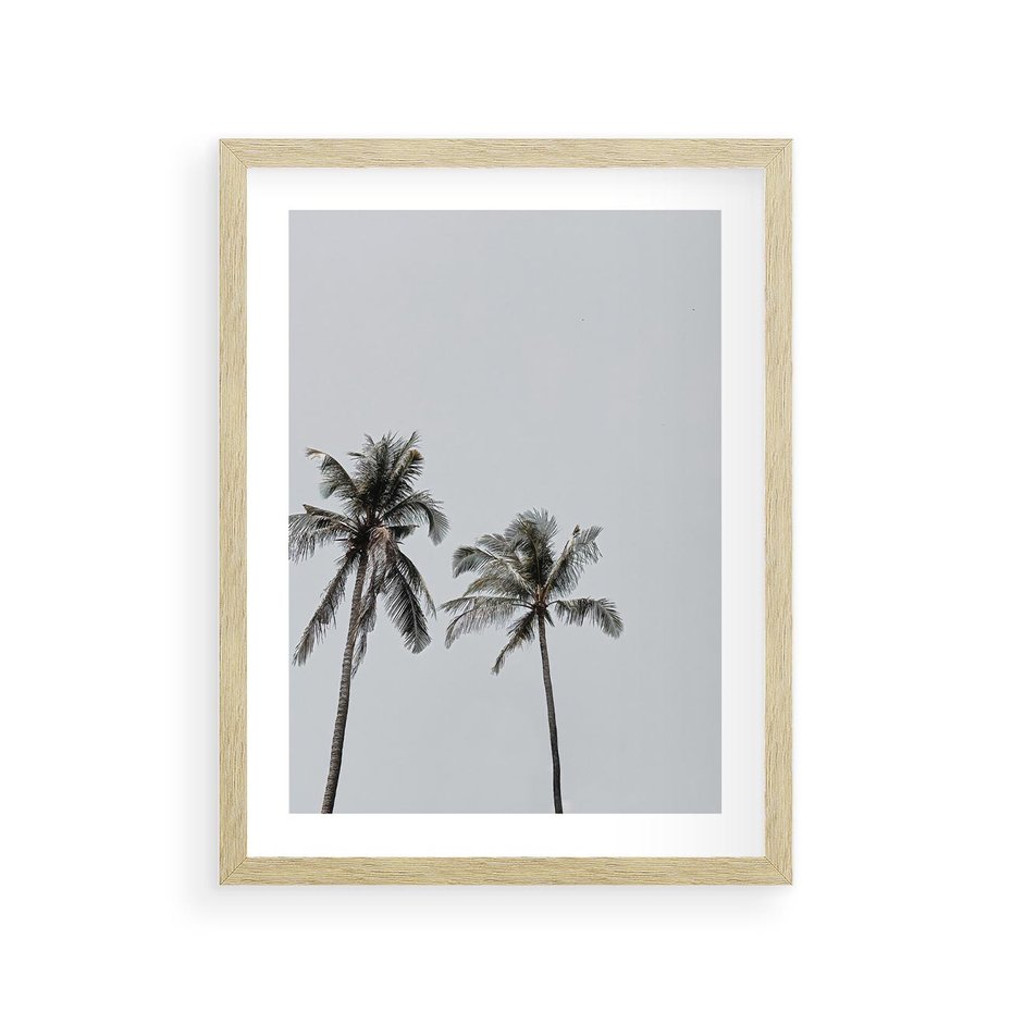 Plakat w ramie 30x40 - Tropikalny Raj: Palmy i Niebo - palmy, niebo - rama drewno