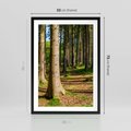 Plakat w ramie 50x70 - Las: harmonia natury - las, drzewa - rama czarna