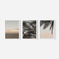 Zestaw obrazy w ramie 50x70 galeria - Palmy, plaża, zachód, słońca - rama biała
