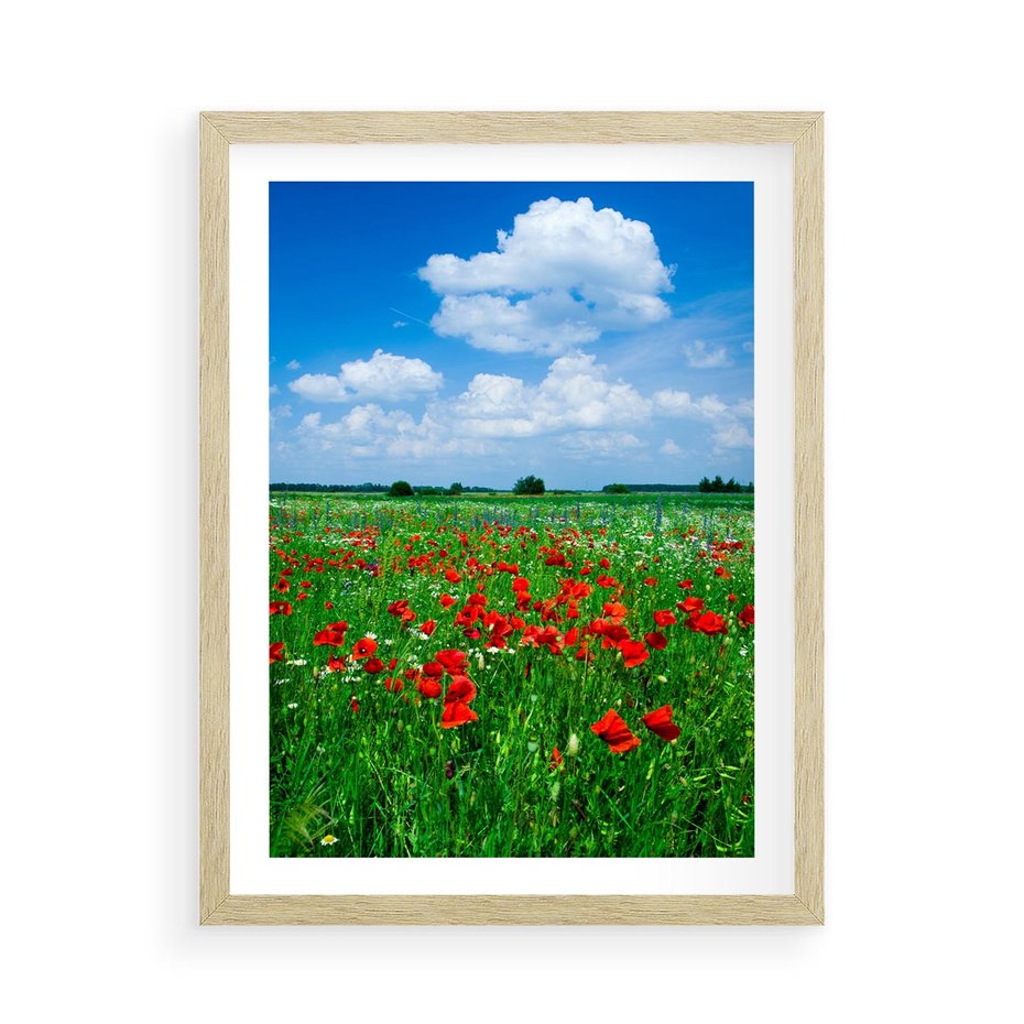 Plakat w ramie 50x70 - Kolorowa łąka pełna maku - łąka, maki - rama drewno