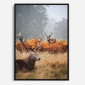 Obraz w ramie 70x100 - Malownicza Harmonia - jelenie, jesień - rama czarna