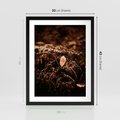 Plakat w ramie 30x40 - Gałęzie i Liść w Brązowej Tonacji - suche gałęzie, liść - rama czarna
