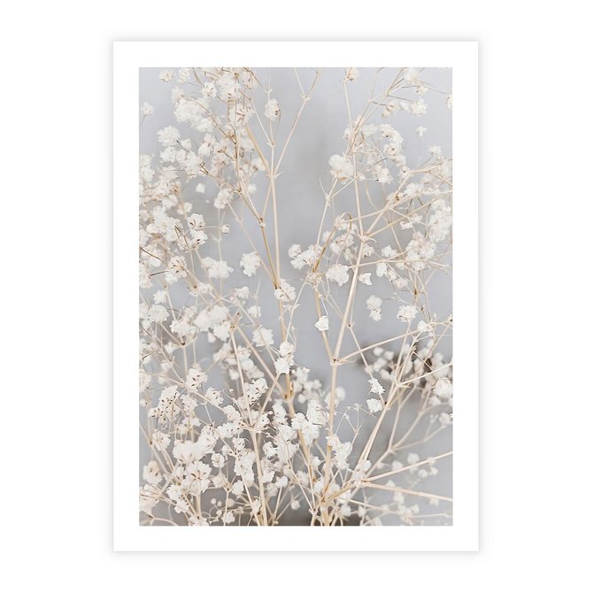 Plakat bez ramy 30x40 - Białe Drobne Kwiaty - gipsówka, białe drobne kwiatki