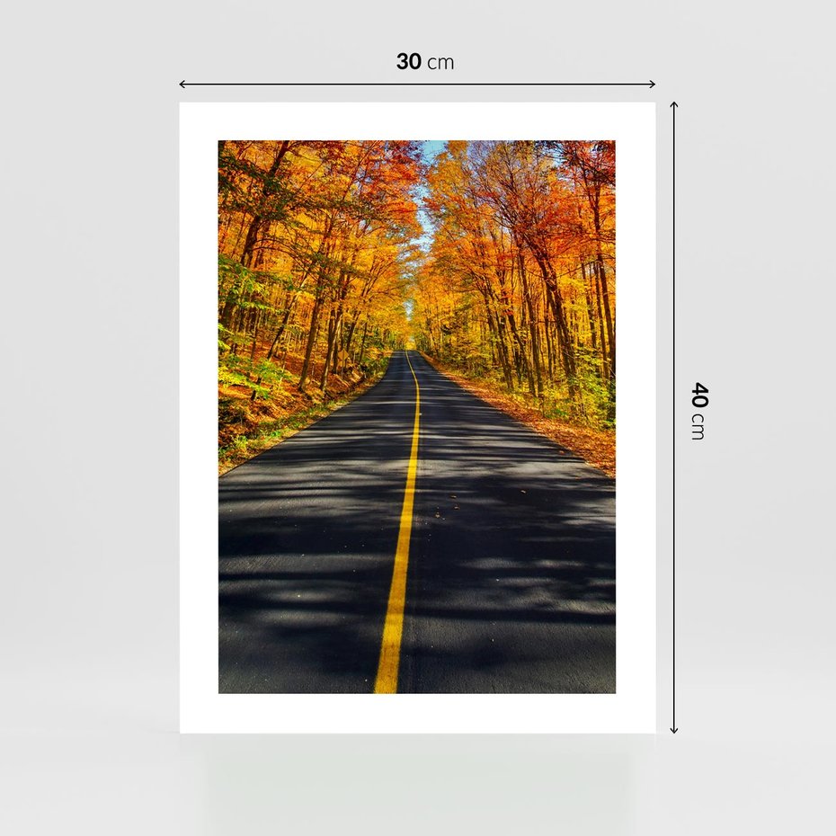 Plakat bez ramy 30x40 - Droga przez jesienny las - droga, las