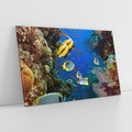 Obraz na płótnie 100x70 - Podwodne królestwo rafy koralowej - rafa, koralowa