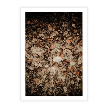 Plakat bez ramy 30x40 - Suchość Liści w Brązowych Tonach - suche liście jesień brąz