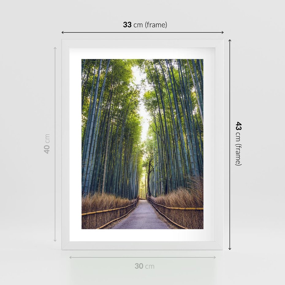 Plakat w ramie 30x40 - Urokliwa dróżka w lesie - las, dróżka - rama biała