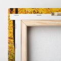 Obraz na płótnie 30x30 - Jesień w lesie - las, drzewa