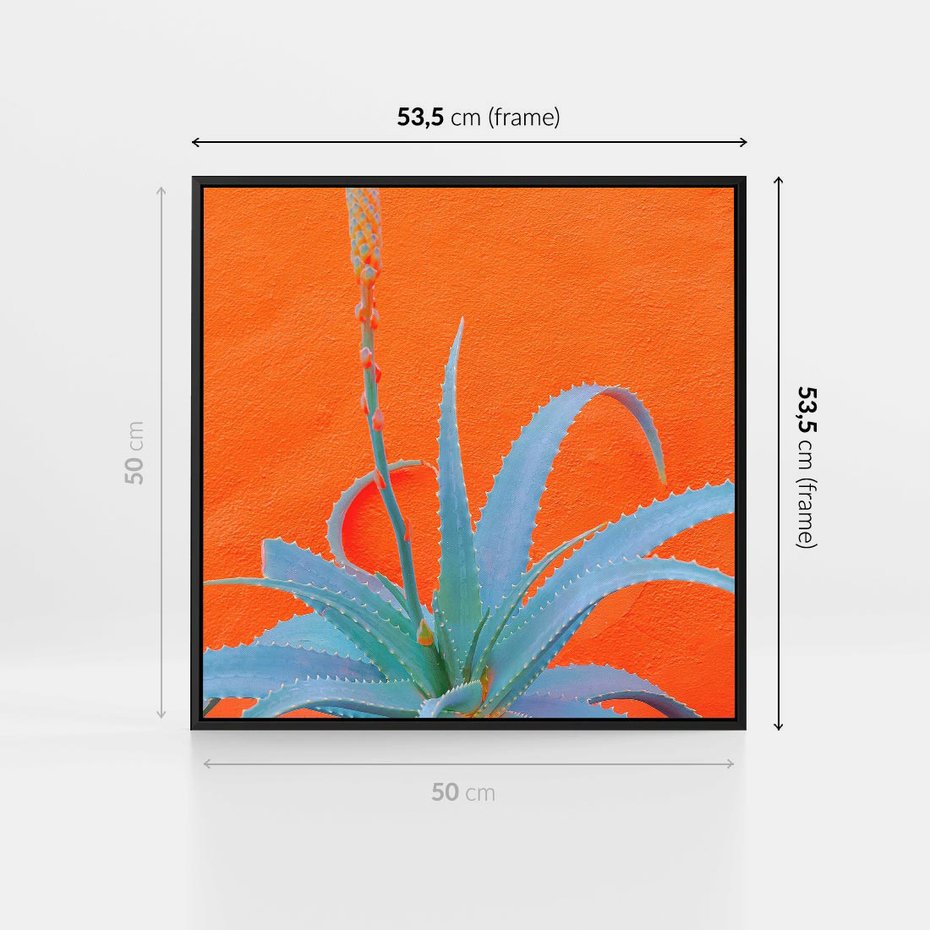 Obraz w ramie 50x50 - Naturalna Harmonia - kaktusy, liście - rama czarna