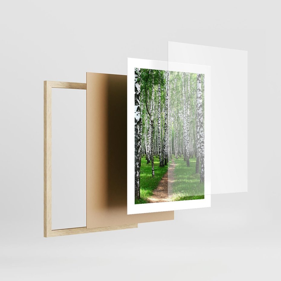 Plakat w ramie 30x40 - Bajkowy las pełen brzóz - las, brzozy - rama drewno