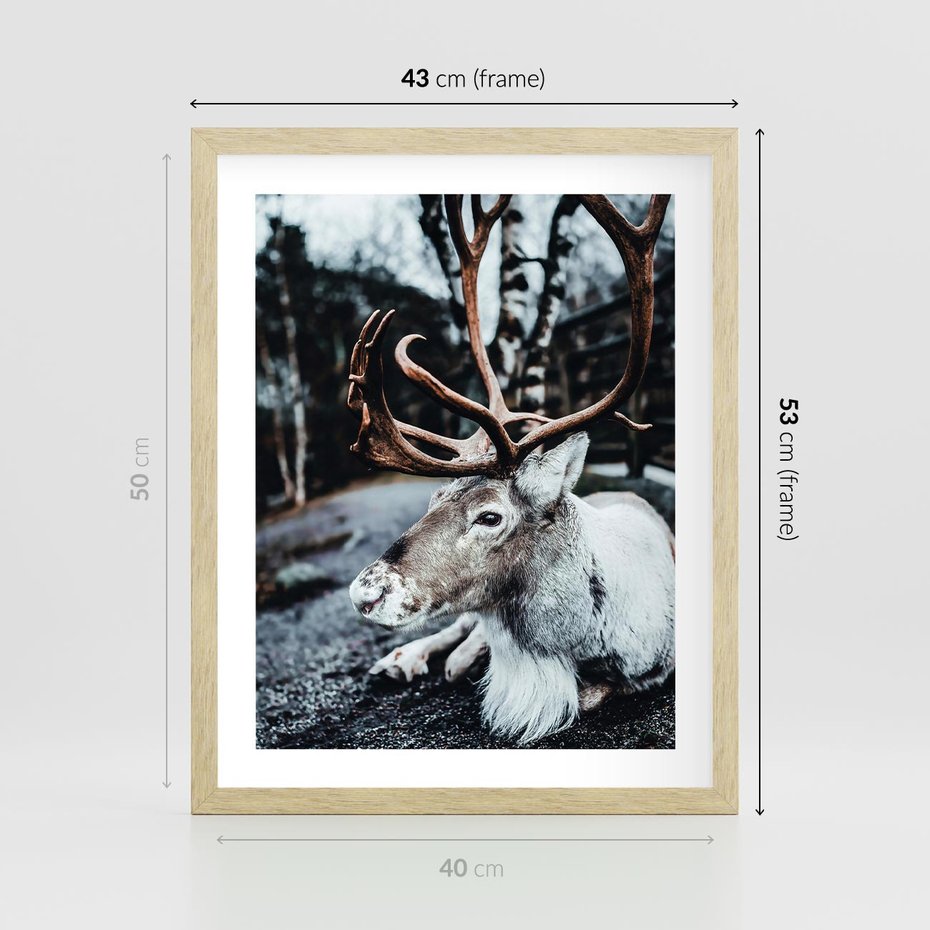 Plakat w ramie 40x50 - W Zimowej Krainie - renifer, zima - rama drewno